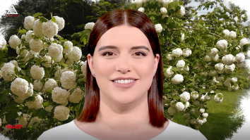 Un vârf de…Bulgăr de zăpadă
