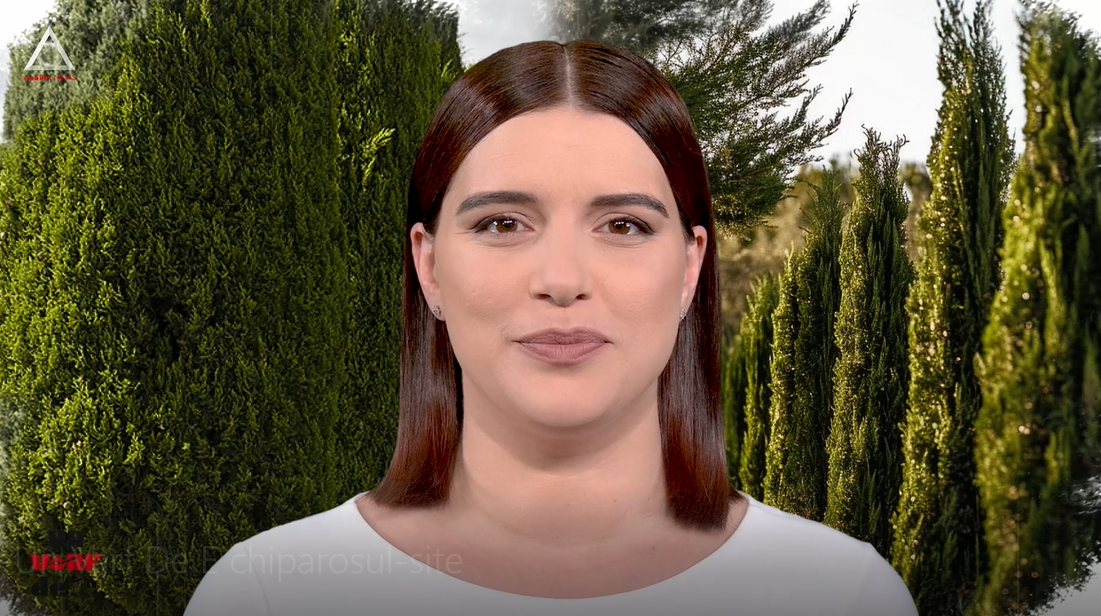 Un vârf de…Chiparosul