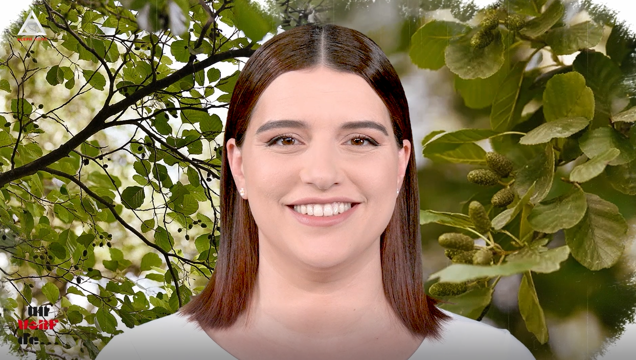 Un vârf de…Arin negru