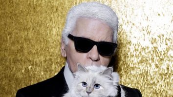 Choupette Lagerfeld, pisica celebrului designer, vine cu vești din viața de „milionară”. Călătorește cu jetul privat și are propria ei avere