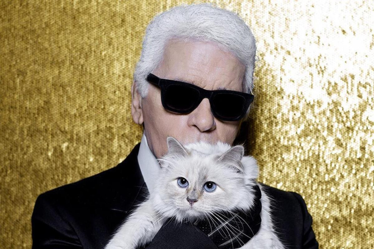 Choupette Lagerfeld, pisica celebrului designer, vine cu vești din viața de „milionară”. Călătorește cu jetul privat și are propria ei avere