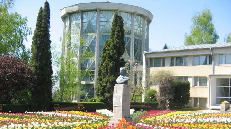 Grădinile botanice se confruntă cu lipsa de spațiu pentru conservarea plantelor pe cale de dispariție