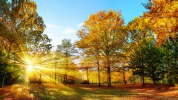 ANM: Săptămâna aduce până la 13°C în sud, iar ploile apar doar trecător și izolat