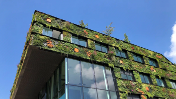 Senzori pentru albine și ciuperci ca materiale de construcție: Care sunt inovațiile care vor remodela viața în 2025