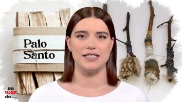 Un vârf de… palo santo