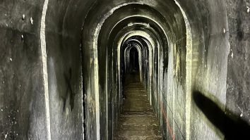 Ostaticii eliberați din Gaza au fost ținuți în tuneluri luni de zile, spune un ofițer medical din Israel. În ce stare se află acum