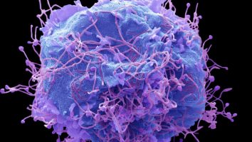 Medicii britanici se tem de o nouă pandemie. Un nou virus gripal este tot mai răspândit în China