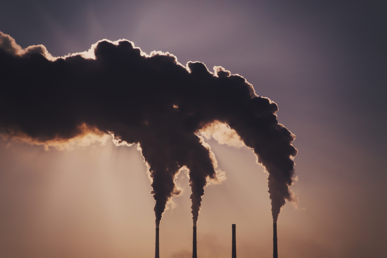 Cum reduci emisiile de CO2? Fiecare gest contează pentru planetă