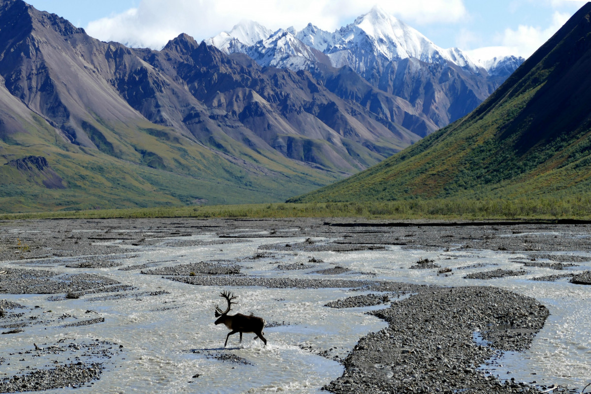 Alaska dă în judecată administrația Biden pentru încălcări ale unei directive de a permite exploatarea petrolului și a gazelor