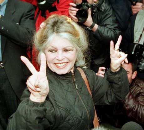 Brigitte Bardot a devenit vocea principală în lupta pentru salvarea lui „Rillette”, un porc mistreț din Franța