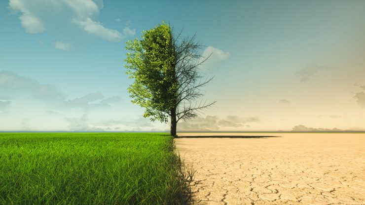 Economia globală riscă să se prăbușească din cauza schimbărilor climatice. Avertismentul experților