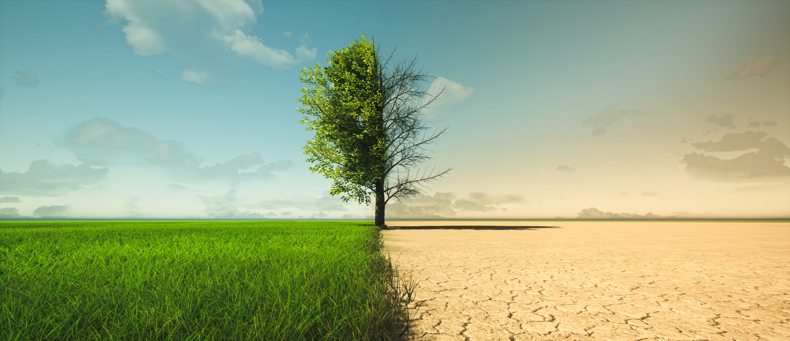 Economia globală riscă să se prăbușească din cauza schimbărilor climatice. Avertismentul experților