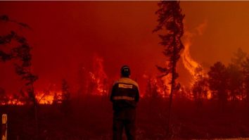 Legea UE împotriva defrișării este amânată. Sinkevičius, fost comisar pentru Mediu: „Este o problemă importantă”