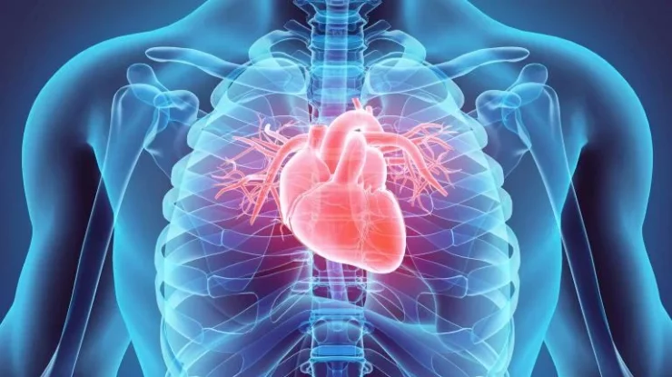 Oamenii de știință au descoperit o nouă metodă care ar ajuta pacienții cu insuficiență cardiacă: plasturii realizați din celule