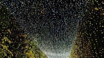 Unde ieși în weekend? Bucureștiul te așteaptă cu evenimente inedite