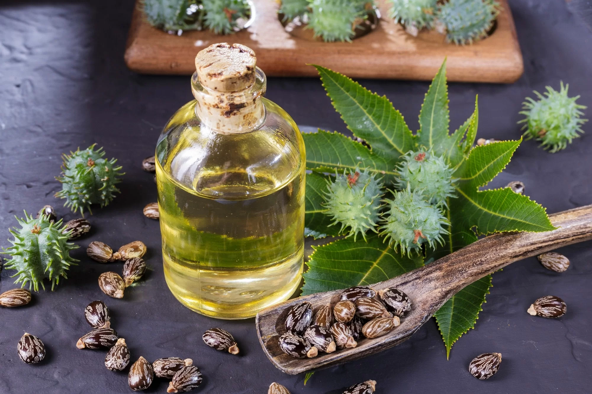 Trendul Castor Oil ia amploare pe TikTok. Cum te ajută uleiul de ricin să pierzi în greutate
