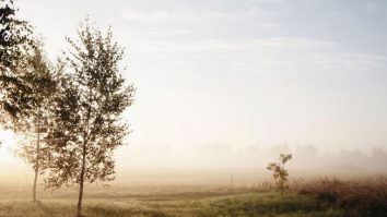 Un val de aer cald cuprinde toată țara până vineri. Maximele urcă la 18°C