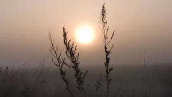 Ceața își face apariția de mâine, însă maximele rămân anormal de mari pentru ultima zi de ianuarie