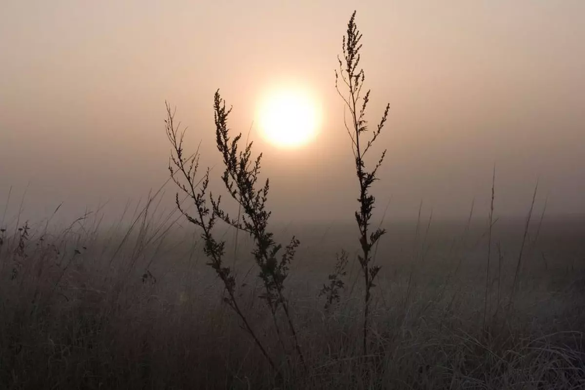 Ceața își face apariția de mâine, însă maximele rămân anormal de mari pentru ultima zi de ianuarie