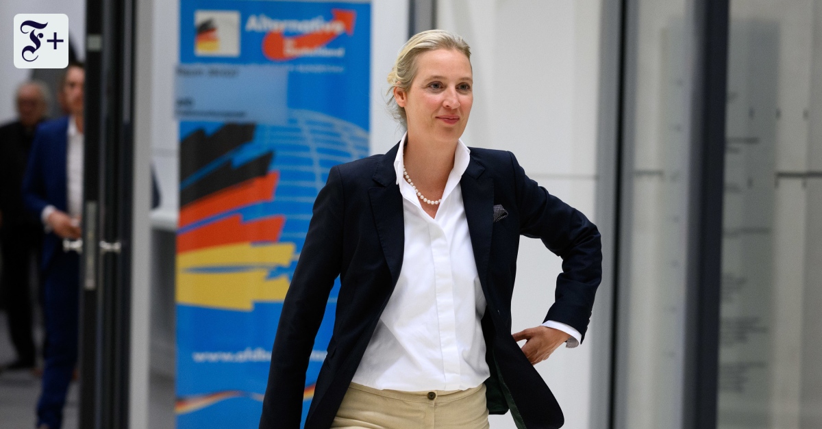 0,5% din voturile exprimate pot determina componența noii coaliții de guvernământ din Germania. Cum arată sondajele