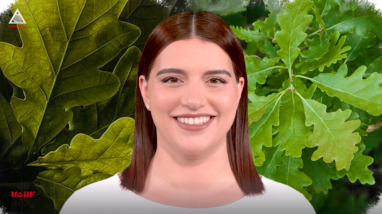 Un vârf de…Stejar