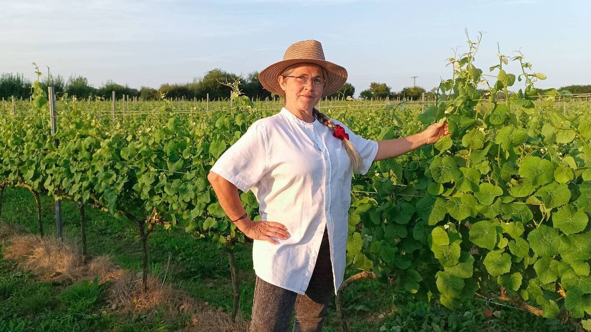 Un cuplu spaniol face cel mai bun vin din Irlanda. Vinul lor este vândut în restaurante Michelin și hoteluri de lux