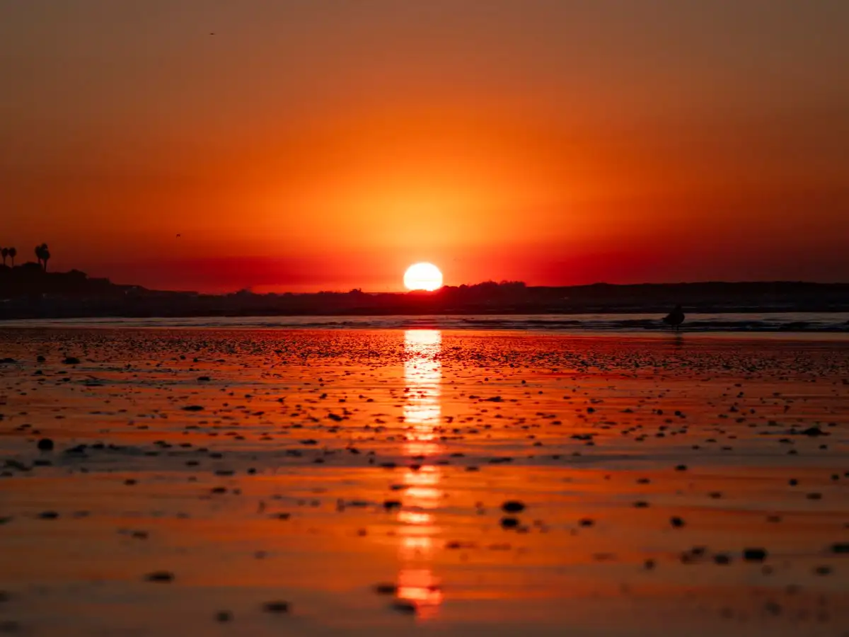 Ianuarie 2025 stabilește un nou record global de căldură. Pentru România, este pe locul 3