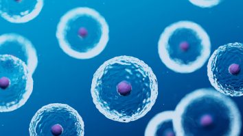 STUDIU. Inteligența a evoluat de-a lungul timpului în funcție de nevoi