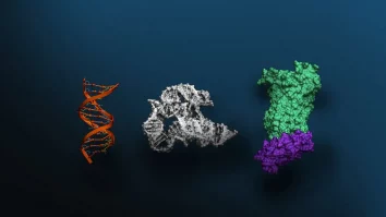 NVIDIA a creat „Evo 2”, cel mai mare A.I. pentru Biologie. Noul model poate identifica mutațiile care provoacă boli în genele umane