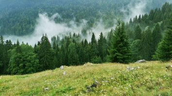 Peisajele extraordinare ale României sunt „unice” în ochii turiștilor străini. Ce spun jurnaliștii de la Financial Times despre Bucovina