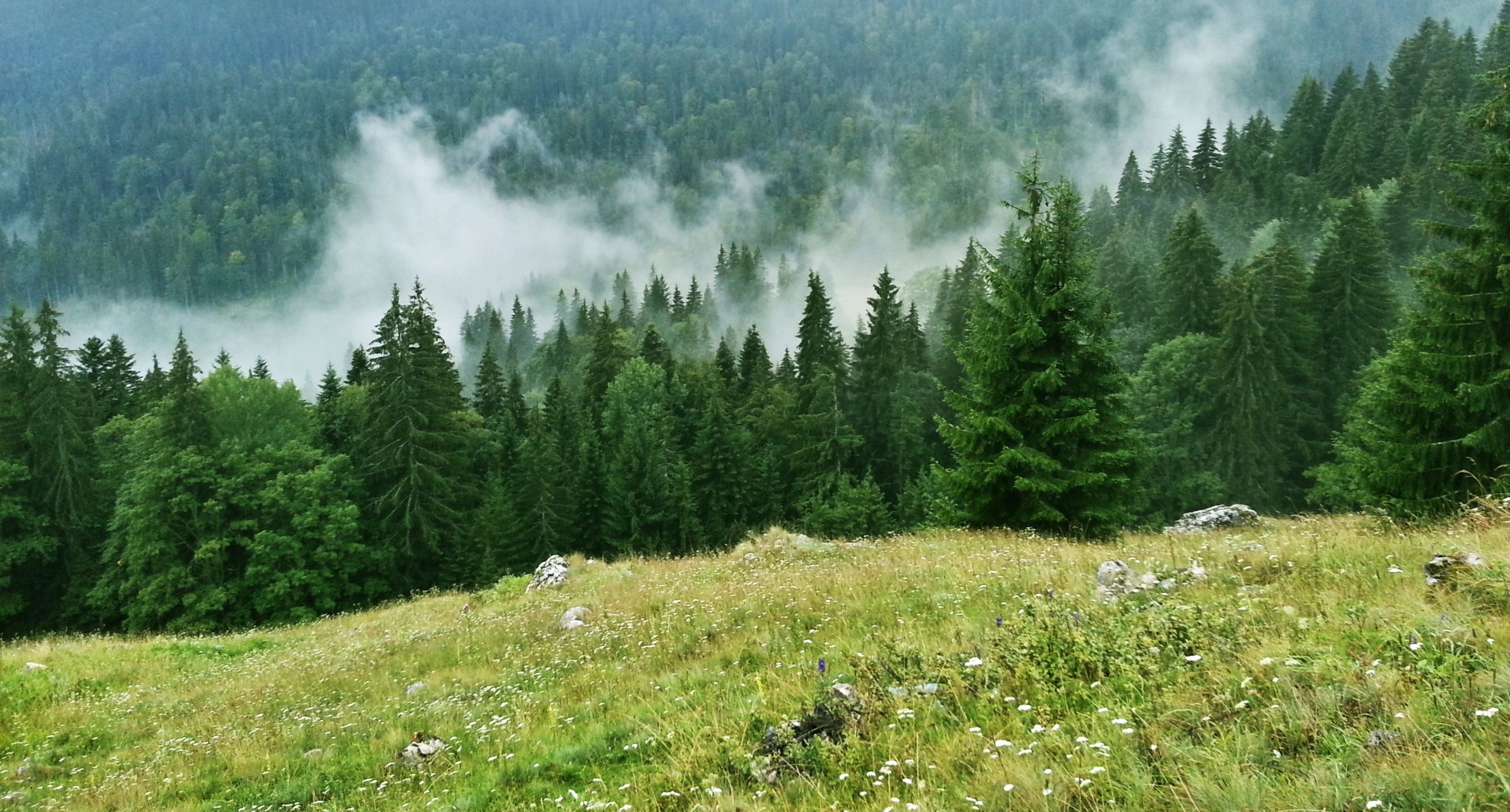 Peisajele extraordinare ale României sunt „unice” în ochii turiștilor străini. Ce spun jurnaliștii de la Financial Times despre Bucovina