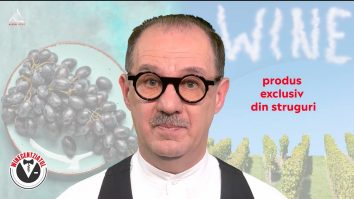 Winecentziatul. Ce este vinul?