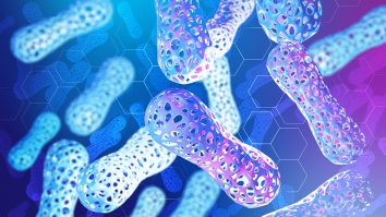 Creșterea bacteriilor din cavitatea bucală poate influența sănătatea creierului