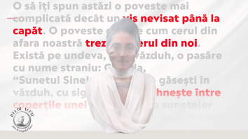 1001 de nopți. De ce nu cad stelele