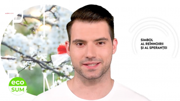 EcoSum. Eco-mărțișor