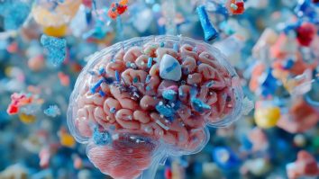Cercetătorii au descoperit niveluri alarmante de microplastice în creierul uman în ultimii ani. Ce boli pot provoca acestea