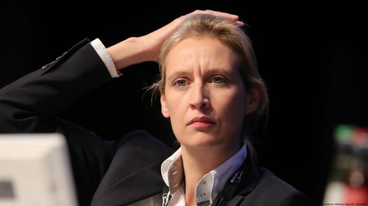 Cum a ajuns Alice Weidel una dintre figurile principale ale opoziției din AfD