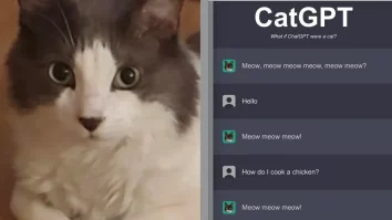 CatGPT: Cum poate un chatbot pisică să revoluționeze îngrijirea animalelor și interacțiunea cu AI-ul