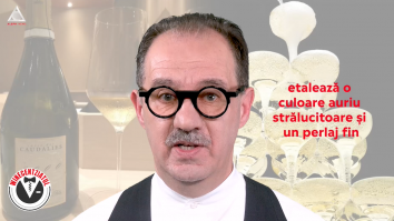 Winecentziatul. De Sousa Cuvee de Caudalie
