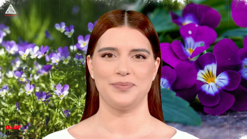 Un vârf de…Trei frați pătați