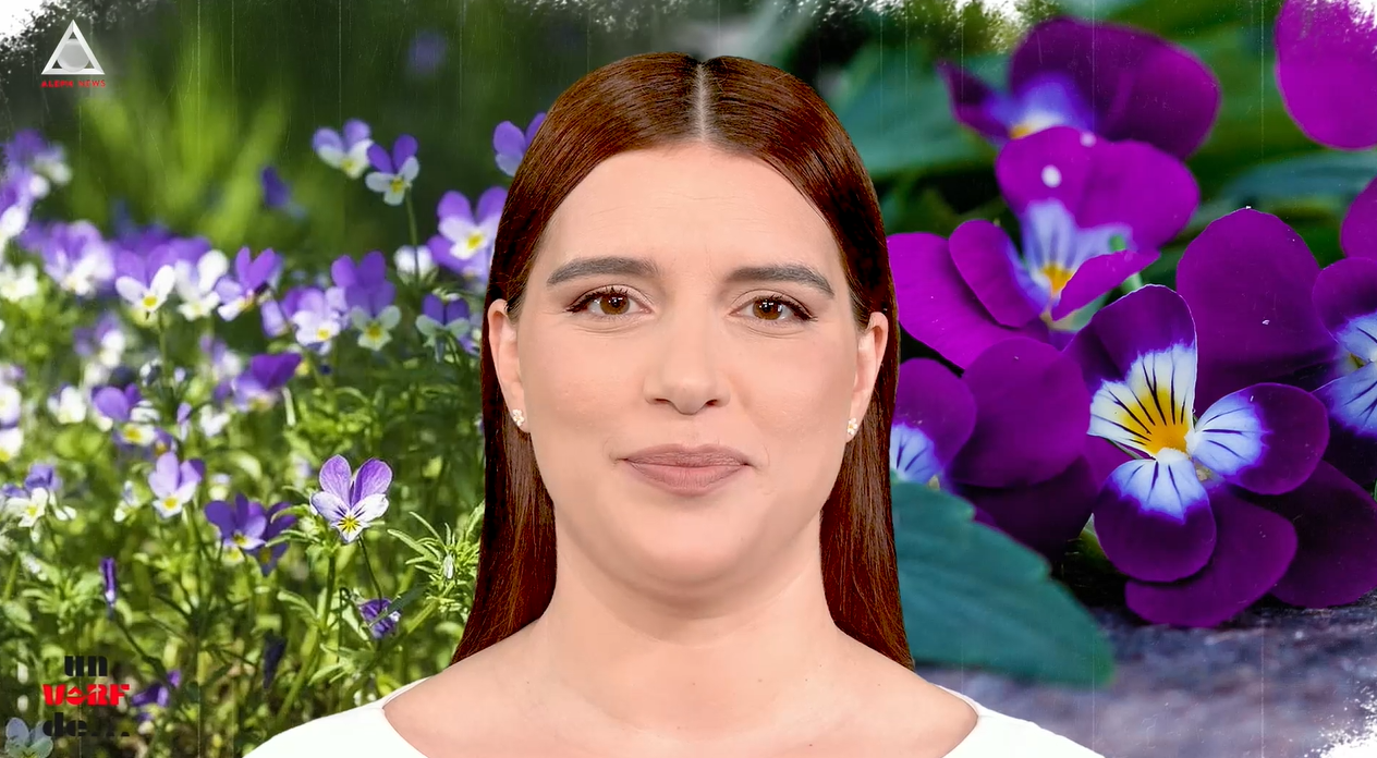 Un vârf de…Trei frați pătați