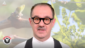 Winecentziatul. Ciclul Anual al Viței-de-Vie