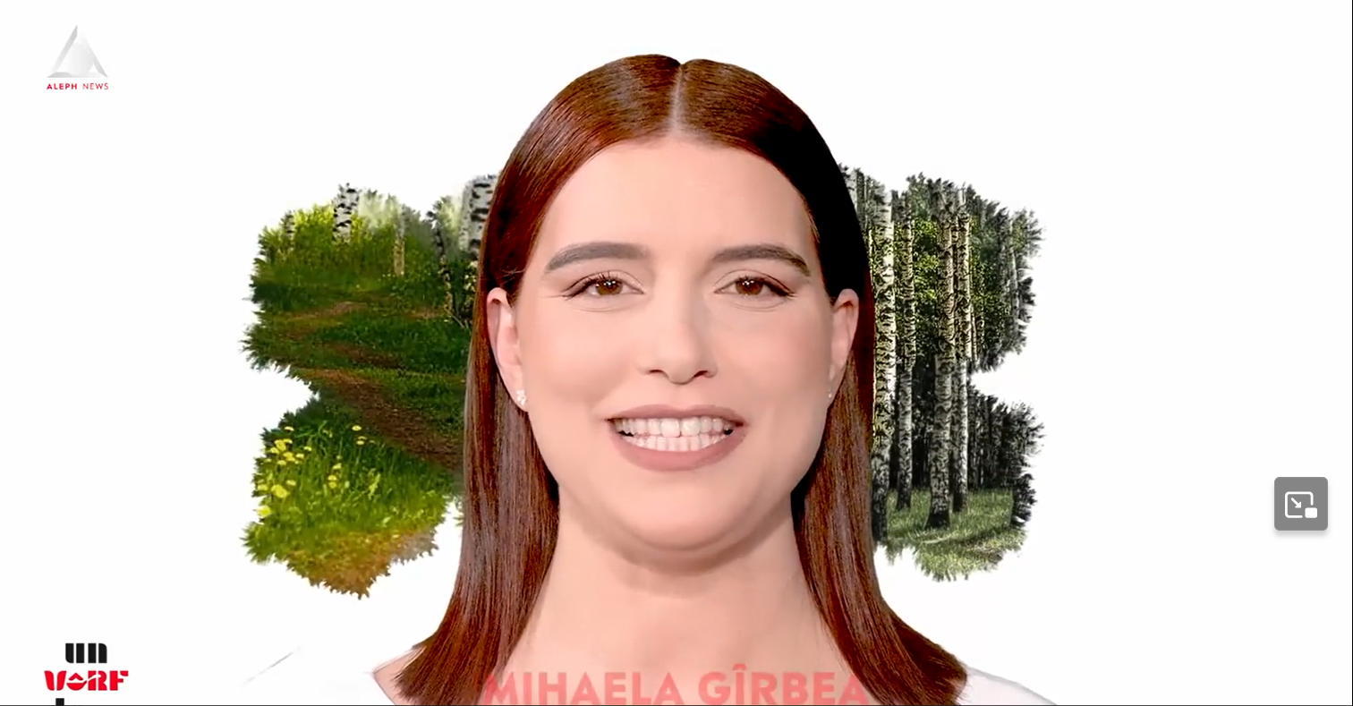 Un vârf de…Mesteacăn