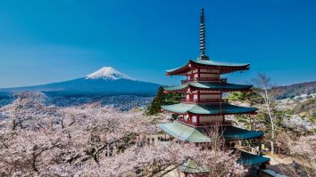 Începe sezonul florilor de cireș în Japonia. Florin Ionescu, consultant de turism: „Vino cu sufletul deschis”