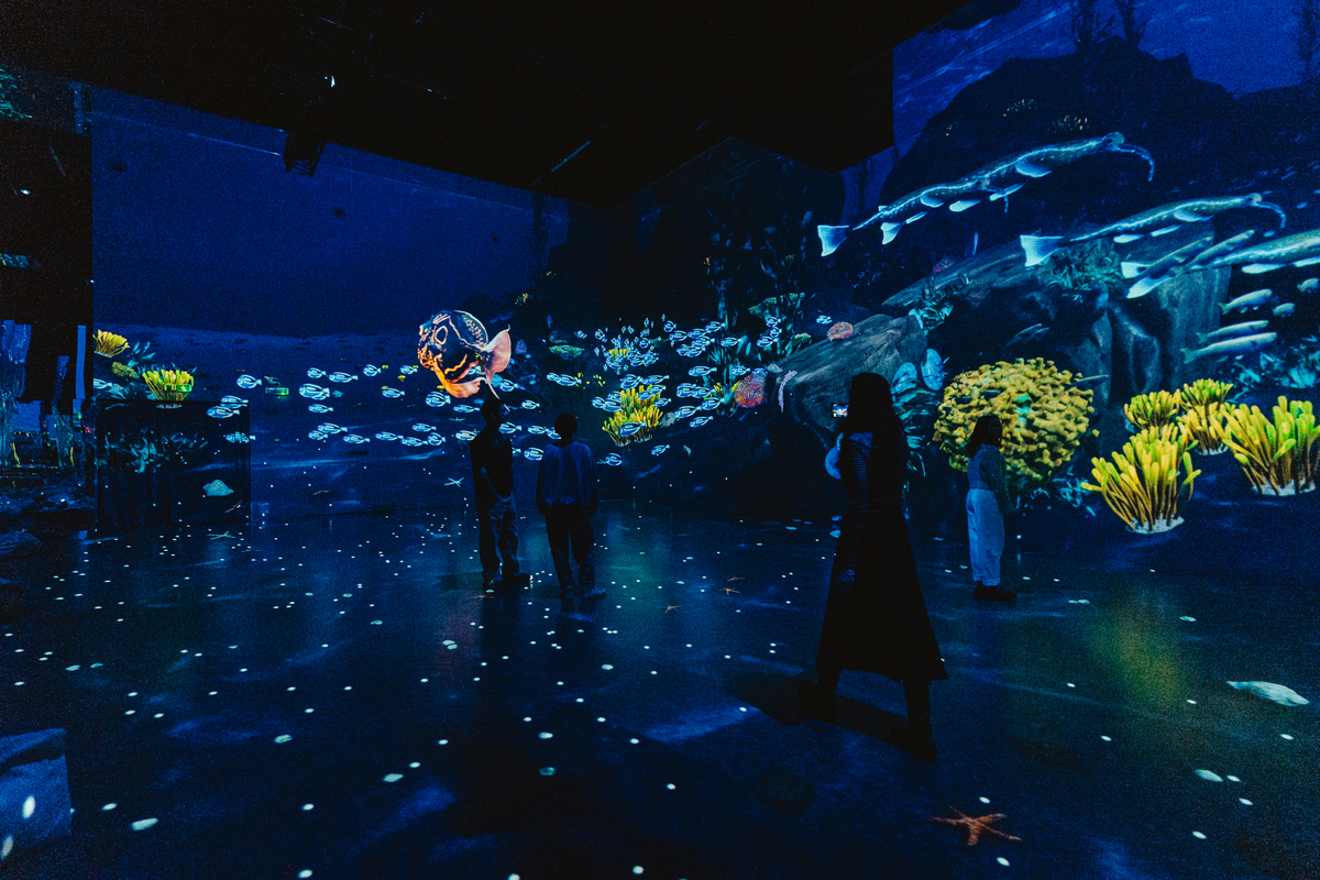 Spectacolul „Dinozaurii – O călătorie imersivă în Lumea Preistorică” te așteaptă la MINA Cluj