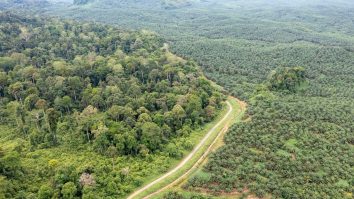 Brazilia a tăiat mii de copaci pentru a face loc autostrăzii. Drumul duce spre Belem, orașul care va găzdui summit-ul climatic COP