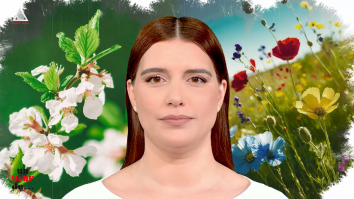 Un vârf de… Alergii de primăvară