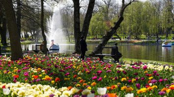 Astăzi te bucuri de soare și 30°C. Cum va fi vremea în weekend