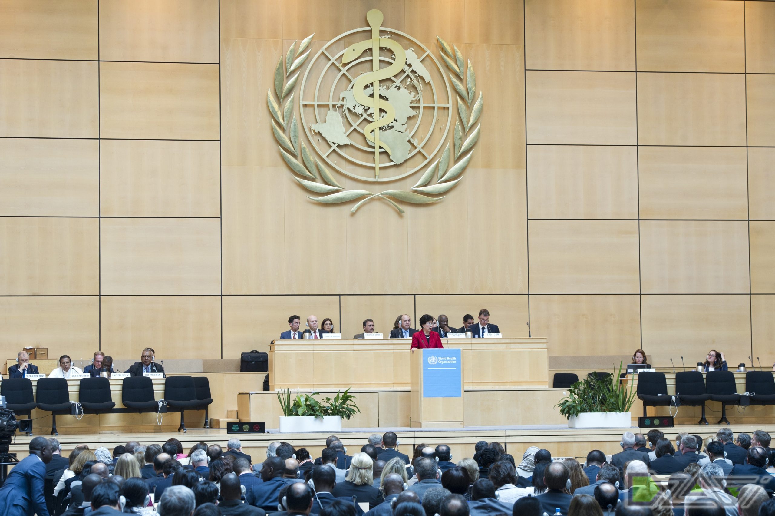 OMS: Peste 90% dintre persoanele cu afecțiuni mintale nu primesc ajutorul necesar. Ce măsuri se recomandă guvernelor