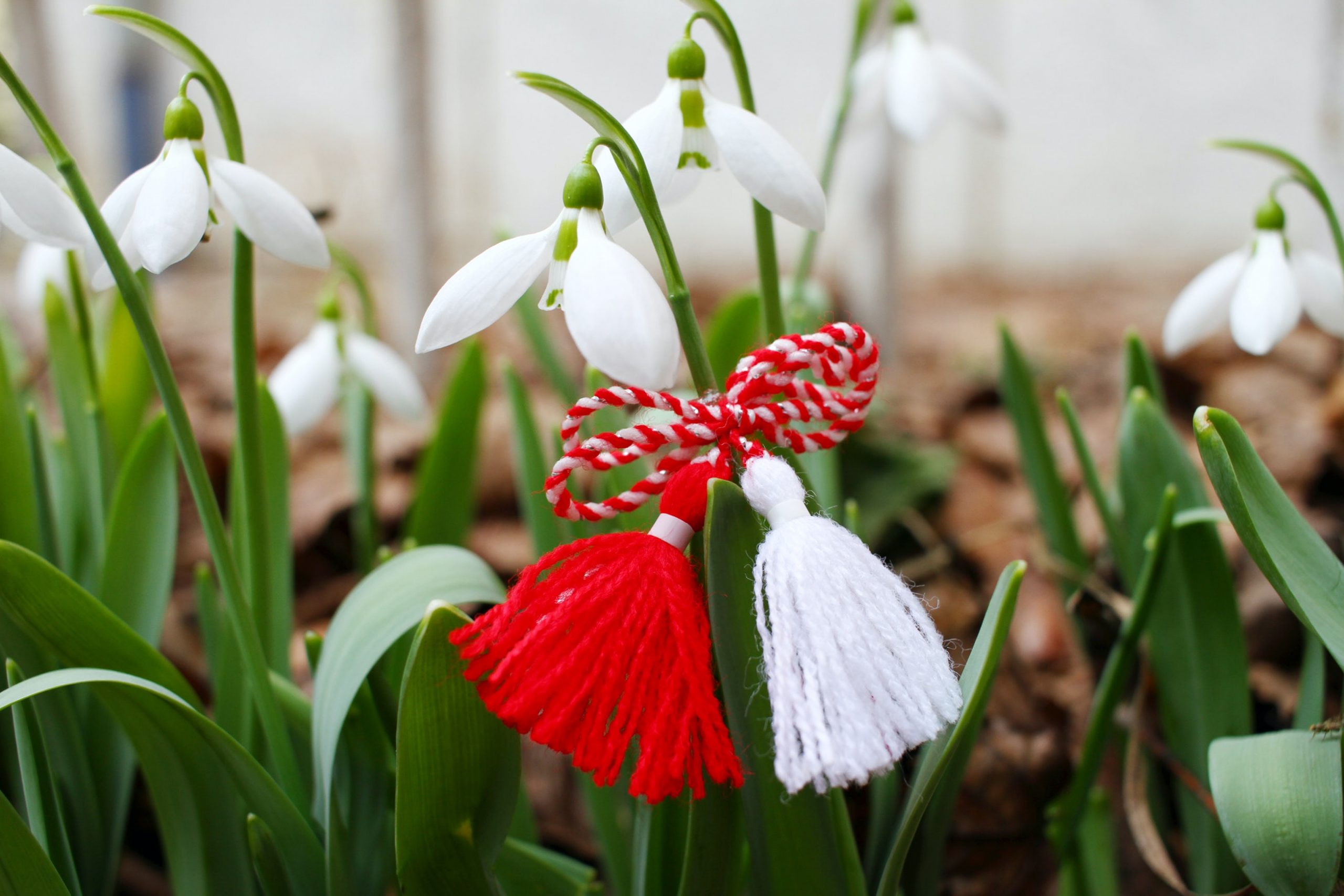 Zona din România în care femeile oferă mărțișoare bărbaților: Care este obiceiul specific Bucovinei